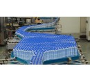 Bottle Conveying System - Accumulation